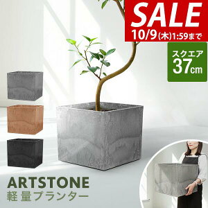 y7,260~SALE6,600~`10/9()01:59܂Łzv^[ ^ 37cm×32.5cm lp XNGA v^[{bNX Aؔ AJo[ v^[Jo[ Jo[ 8`12A13  O y 