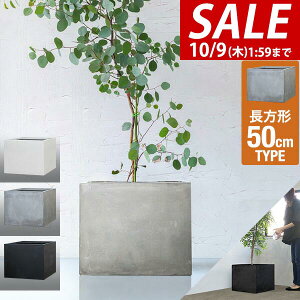 y10,890~SALE9,900~`10/9()01:59܂Łz v^[ ^ 50×50cm 40cm XNGA ` [^ t@Co[NC Aؔ AJo[ Jo[ ڈ 5`12 O  K[fjO ϗtA