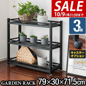 y10/1_tf[zK[fbN I v^[ 3i 79×30×75cm X`[ ACA t[X^h v^[bN AbN v^[X^h K[fVFt