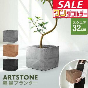 y11/1_tf[zv^[ ^ 32cm×29cm lp XNGA v^[{bNX Aؔ AJo[ v^[Jo[ Jo[ 6`10A11  O y A[gXg[