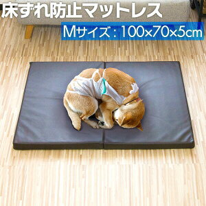 y11/1_tf[zybg  h~ NbV ybgp h~}bgX MTCY 100 x 70 x 5cm }bg PA}bg }bg ybgxbh  L VjA ^  VjA