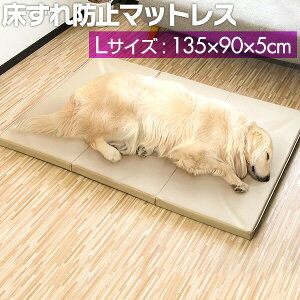 y11/1_tf[zybg  h~ NbV ybgp h~}bgX LTCY 135 x 90 x 5cm }bg PA}bg }bg ybgxbh  L VjA ^  VjA