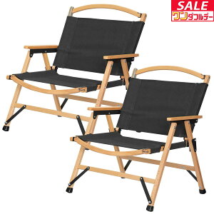 y11/1_tf[zAEghA `FA 2Zbg A[`FA Ch It I| ܂肽 ֎q y ω׏d 100kg NVbN`FA A[Xg Ђ| fbL`FA Rp