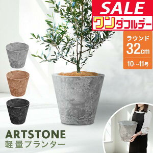 y12/1_tf[zv^[ ^ X a32cm×29cm  Eh v^[{bNX Aؔ AJo[ v^[Jo[ Jo[ 6`10A11  O y A[gXg