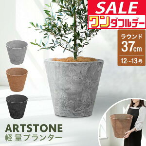 y12/1_tf[zv^[ ^ X a37cm×34cm  Eh v^[{bNX Aؔ AJo[ v^[Jo[ Jo[ 8`12A13  O y A[gXg