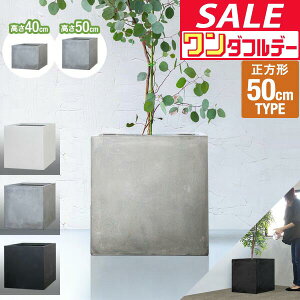 y12/1_tf[z v^[ ^ 50×50cm 40cm/50cm XNGA ` [^ t@Co[NC Aؔ AJo[ Jo[ ڈ 5`12 O  K[fjO ϗtA  