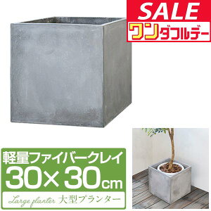 y12/1_tf[zv^[ ^ 30×30cm XNGA ` [^ t@Co[NC Aؔ AJo[ Jo[ ڈ 5`8 O  K[fjO ϗtA  y r 