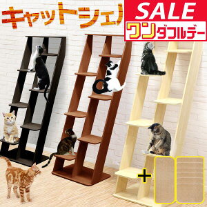 y12/1_tf[zLbgc[ u X ؐ ȃXy[X  175cm  60cm L^[ VjA ^L i ^s LbgVFt Ƌ gݗ ݒu ȒP Ki XN