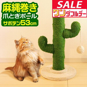 y12/1_tf[zL ܂Ƃ |[ T{e^ ꊪ 53cm u VR   ˂ ߂Ƃ lR ܂Ƃ|[ x ܌ ܖ XgX ~j Lbgc