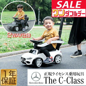 y12/1_tf[zpߋ 蕨  xc  艟 2WAY ZfXxc KCZX C-Class CNX    蕨 ̂ O O OV  