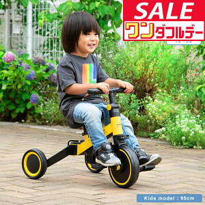 y12/1_tf[zO֎ ܂肽 3WAY LbYoCN pߋ 1΂  3֎  3in1 oCN y_ y_Ȃ]  蕨 OV oXo g