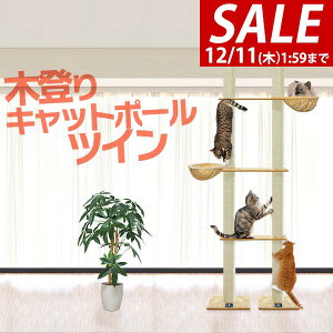 y10,450~SALE9,790~`12/11()01:59܂ŁzLbgc[ ˂ cC a 10cm  240 - 255cm  75cm nt L^[ VjA ^s ؓo ̂ڂ ؓo^[ ؓoLbg