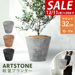 y3,300~SALE2,970~`12/11()01:59܂Łzv^[ ^ X a32cm×29cm  Eh v^[{bNX Aؔ AJo[ v^[Jo[ Jo[ 6`10A11  O y