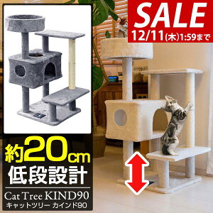 y5,390~SALE4,510~`12/11()01:59܂ŁzLbgc[ ^[ u X ȃXy[X 90cm×60cm i nEXt L^[ qL VjAL ^s L KIND90 ܂Ƃ XN