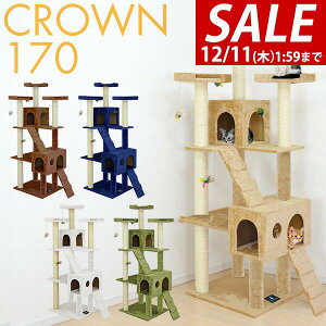 y9,130~SALE8,580~`12/11()01:59܂ŁzLbgc[ u X  170cm  55cm nEXt L^[ VjA ^s L CROWN170 gݗ ݒu ȒP ܂Ƃ Ki XNb` 