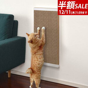 yzSALE1,980~12/11()01:59܂ŁzL ܂Ƃ{[h 67cm×35cm Œp{[hP[Xt ˂ ߂Ƃ lR ܌{[h i{[{[h i{[ ܌ ܂݂ u/Ǌ| X 