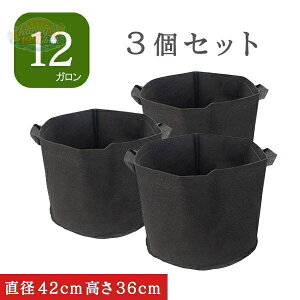 �y�y�V�X�[�p�[SALE�z�s�D�z�|�b�g 12�K���� 3�� �s�D�z�v�����^�[ 13�� 14�� �A�ؔ� �t�F���g�v�����^�[ �y�� �y�� �ƒ�؉� �[�� �t�F���g �z�� ��