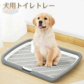 犬 トイレトレー ワイド 小型犬 中型犬 大型犬対応 ワイド はみ出し防止 飛び跳ね防止 ステップ しつけ 犬用 マーキングポール 大型犬