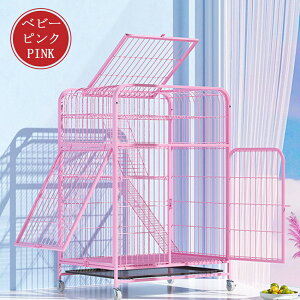 L P[W LbgP[W 3i L݌v Rgݍ킹 g[t LhAt nbNt ^ LQ[W   Lb