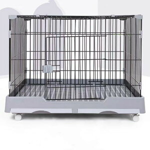 w|Cg10{x ybgP[W RpNg LbgP[W ETMP[W P[W  P[W LX^[ t g[t LP[W ybgQ[W V ォ Eh~ 