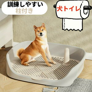 w|Cg10{x  gC ybggC ی|ȒP g[jOgC bVg bVg[ gCg[ t P₷ юUh~ǃv[gt