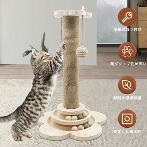 L̒܂Ƃ L ܂Ƃ ܌  x ϋv gݗĊȒP {[̂t XgXƃXgX  L̂ ^s