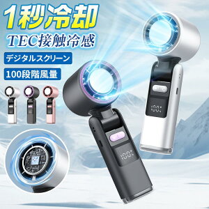 @ nfBt@ É ^ 2025 啗 100iK ˊOp gѐ@ ߓd y Type-c[d pv[g GAR LEDfW^\ ΍