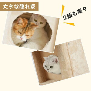 Lbg^[ L^[ ؐ u ȃXy[X  ^L FD LnEX lR Lp  ܂Ƃ R ^s Vя 2Nۏ