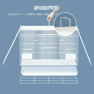  P[W og[ ybgP[W ̃XbLP[W ܂肽ݎ LbgP[W   bg  P[W [P[W P[W nEX 