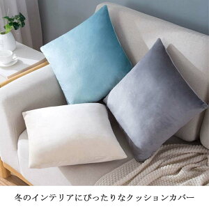 NbV zc NbVJo[ 45×45cm k Vv JtF  Vv ԂƂ V[gNbVԂƂ a pI  􂦂