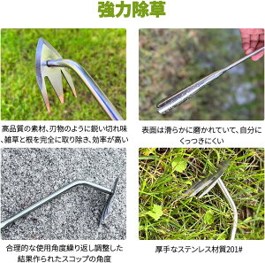 蓹 GuV G S340mm   XeX ЎL ObY  ֗ RpNgkL H |p ̓