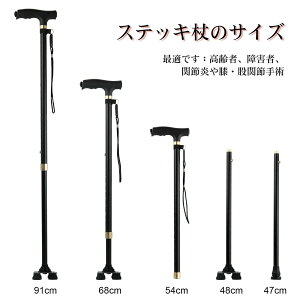 XebL Lk    l_x y p jp LEDCg 10iK  68cm~91cm  Lk\ sx ԎU V v[g