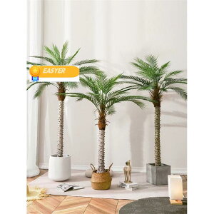 2025tFCNO[ lHϗA ^ A lHAJ V̖ lHϗt ϗtA  Vv ItBX  CeA  j ̓