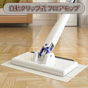 @| WCg^Cv 360°] p 25cm V[g ĝă^I 񃂃bv tAbv Nbv {