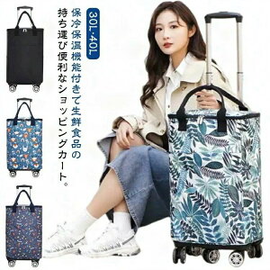 ܂肽 VbsOJ[g 4 5 y  30L 40L e J[g L[J[g ۉ ۗ H h  L[obO LX^[t GRobO g[gobO