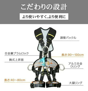 n[lX^S ^b`obN tn[lX [h Zbg ֕_u[ht ė~p VKiK (tn[