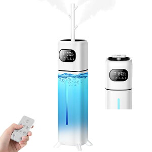  e 10L y2025Vf dۏ򉻁EM×gz ォ狋 nCubh 2̐omY m\P 3iKʒ pt UVCg }CiXCI