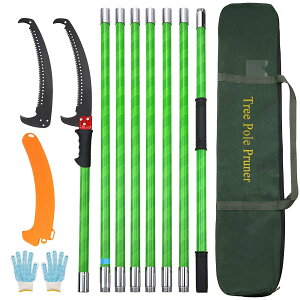 Kokorona 8m }؂mRM 蓮̂ 8iK yʍ}؂oT~ ߂̙oT~ ϋv|苘 |ʎp