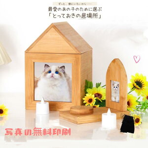 ybgdZbg ybgd ybg ̋̂ l[v[gt