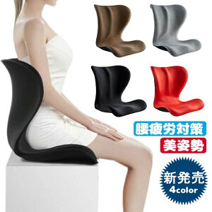 座椅子 ゆがみ 座椅子 腰痛 チェア 椅子 スタイル イス 猫背 骨盤 クッション 腰ボディメイクシート オフィス スタイル 座いす 骨盤矯正 コンパクト 腰痛 姿勢 美姿勢 猫背 椅子 イス クッシ