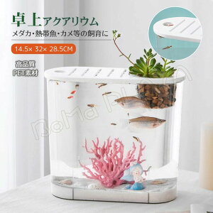  ^  ANAE ANAE Zbg Mы _J   ϗtA _J Ϗ܋ 琬 e  T