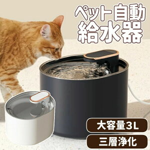 ybg   L MtgΉ ˂ @ e  @ ݊ ݂̂݊ z