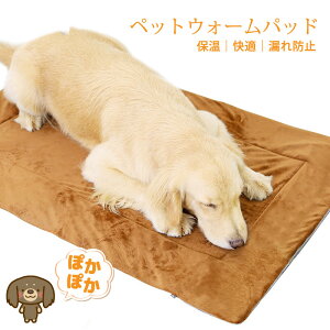 ybgnEX ybgxbh  ɂ nEX h[^  nEX xbh  L ^ p g L ybg h[ xbh ӂӂ ^ꖳ