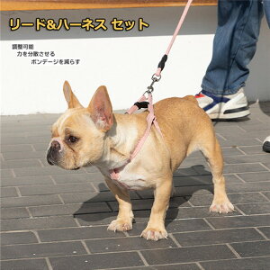 n[lX [hZbg ̃[h ybg[h Lp U ^ ybg [ht ybgpi   xXg y ߉\  S ʋC Ď h~ ȒP