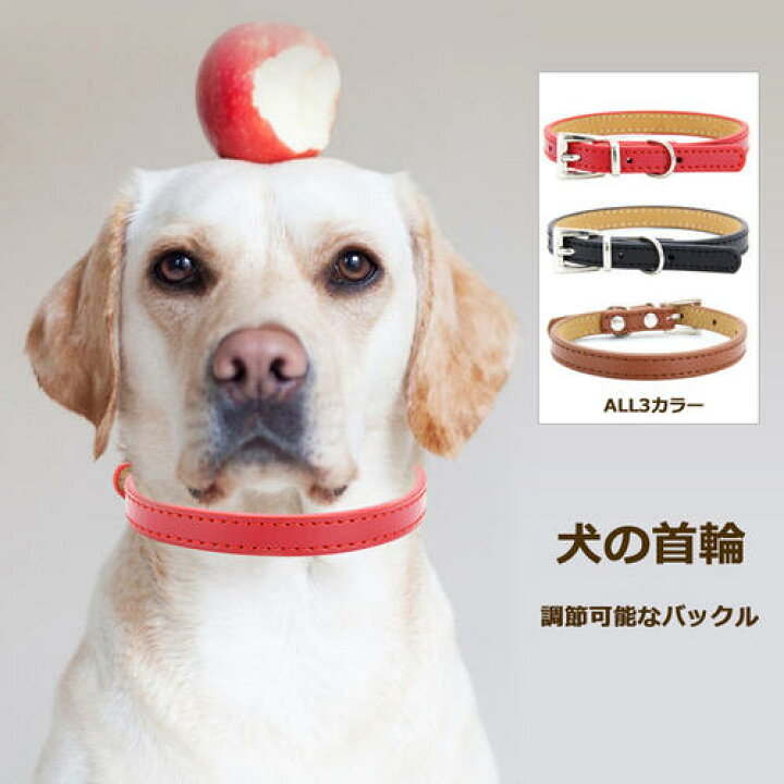 楽天市場 犬 首輪 犬首輪 犬の首輪 犬用首輪 いぬ くびわ 犬用品 送料無料 おしゃれ オシャレ お洒落 かわいい カワイイ 可愛い かっこいい 中型 犬 中型犬用 小型犬 小型犬用 超小型犬 革 皮 レザー 手作り ハンドメイド 安心 安全 軽い 軽量 柔らかい 豆柴