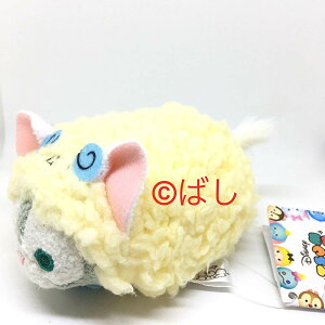 `fBYj[h C[X^[ 2019   ccʂ WFg[j t