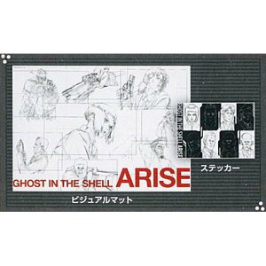 Ԃ Uk@ARISE E rWA}bg W Pi