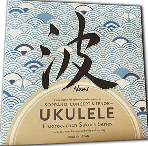 NAMI g EN \vm, RT[gAei[TCY { (4{Zbg NAMI EN )