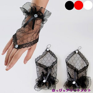  ZNV[ O[u  wȂ RXvACe _Xߑ 3J[ [X bV     ubN zCg bh RXv l Cxg   I 2 