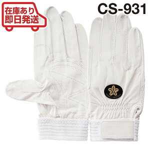 y䂤pPbgȂ1ołz g{bNX XL[hcpv/O[u CS-931 WD zCg [苍v] yTONBOREX h  O[u ~} ~  P g{ XL